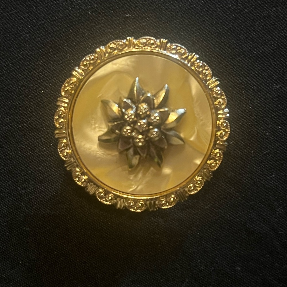Vintage Gold Tone and Mother of Pearl Scarf Clip Germany